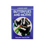 A Golden Guide: Butterflies and Moths