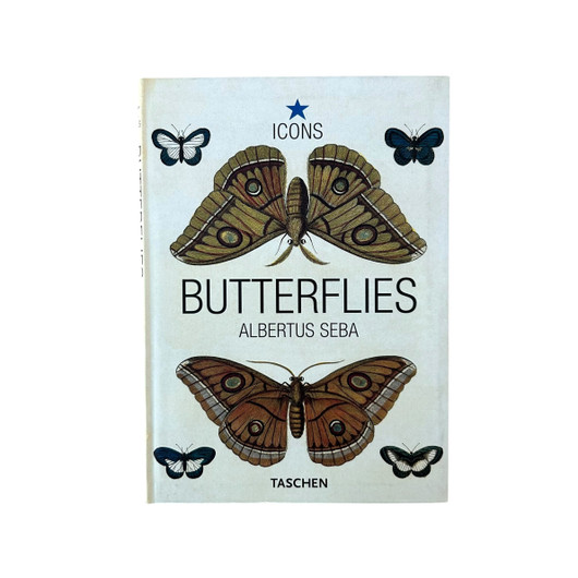 Albertus Seba: Butterflies