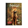 DVD, Dingo - Ystävä vai vihollinen