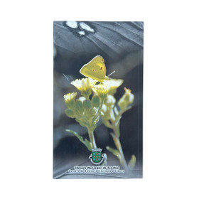 Guia de Campo das Borboletas Diurnas