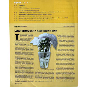 Lehti, Baptria 2012 nro 2