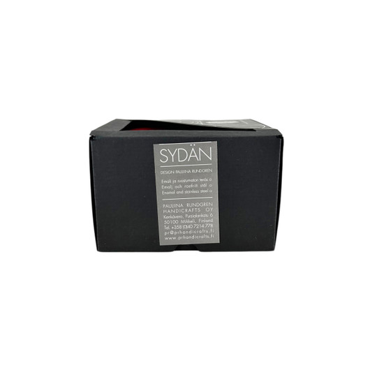 Teesiivilä Sydän, Pauliina Rundgren