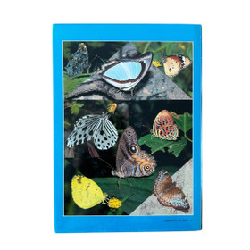 Malaysian Butterflies