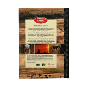 DVD, Paviaanien laakso