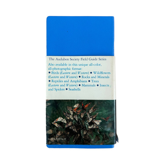 Field Guide to North American Butterflies