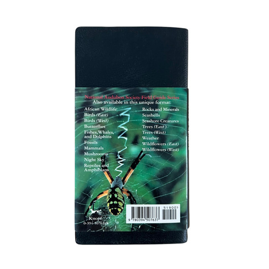 Field Guide to North American Insects & Spiders