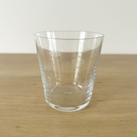 Juomalasi, Iittala Taika
