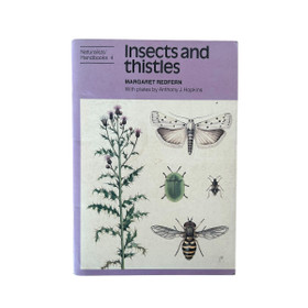 Insects and thistles