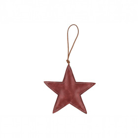 Joulukoriste, nahka - tähti