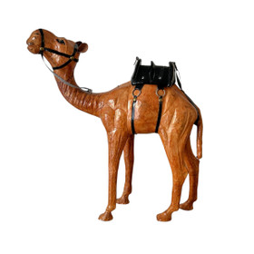 Koriste-esine, Kameli