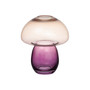 Maljakko, Fungi