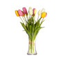 Maljakko, Lily