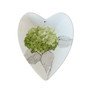 Sydänmalja, Pentik Hortensia