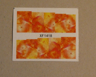 KIRPPIS: Water Decal siirtokuva
