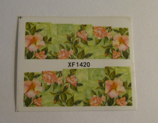 KIRPPIS: Water Decal siirtokuva