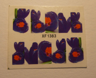 KIRPPIS: Water decal siirtokuva