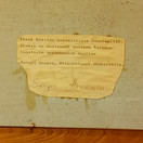 Ikoni, Jumaläiti, sign. Sergei Ananin