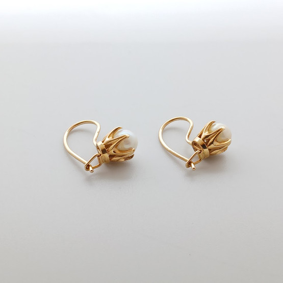 Korvakorut, 14k kultaa