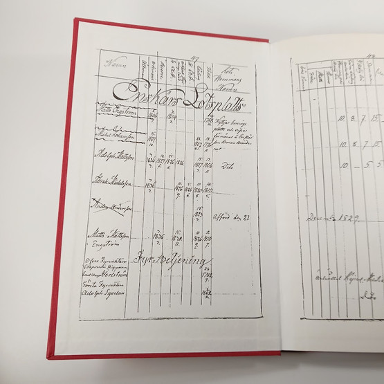 Kirja, Isonkarin miehet, Luotolaisromaani 1800-luvulta