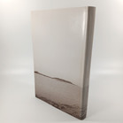 Kirja, Luotolaisen lokikirja, romaani