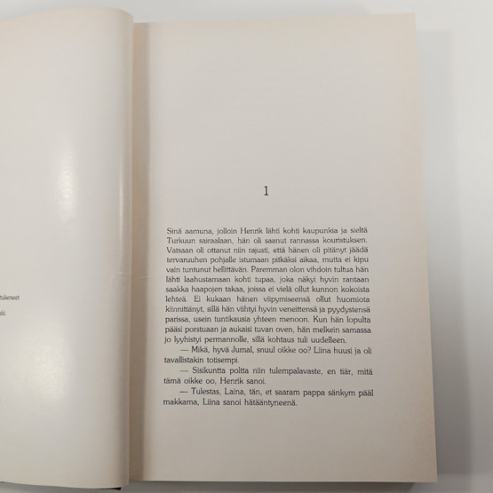 Kirja, Luotolaisen lokikirja, romaani