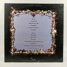 LP-Levy, The Hunter, Blondie