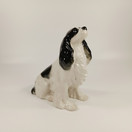 Figuuri, Spanieli, Lomonosov