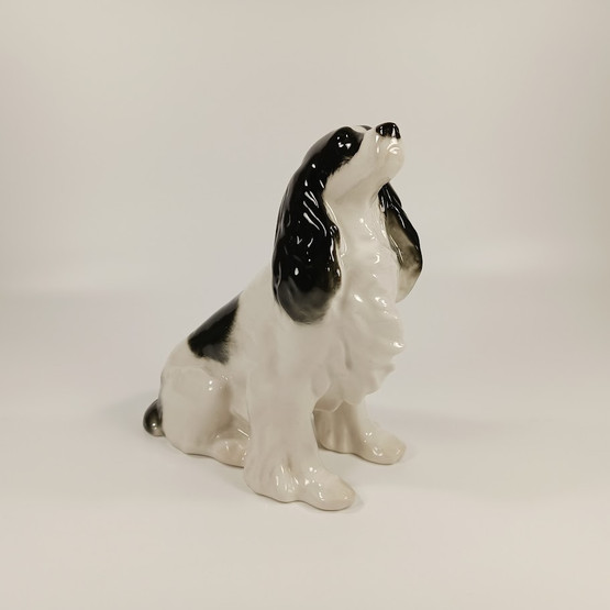 Figuuri, Spanieli, Lomonosov