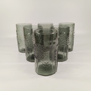 Juomalasi 6kpl, Flora, design Oiva Toikka