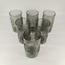 Juomalasi 6kpl, Flora, design Oiva Toikka