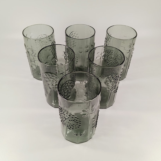 Juomalasi 6kpl, Flora, design Oiva Toikka