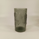 Juomalasi 6kpl, Flora, design Oiva Toikka