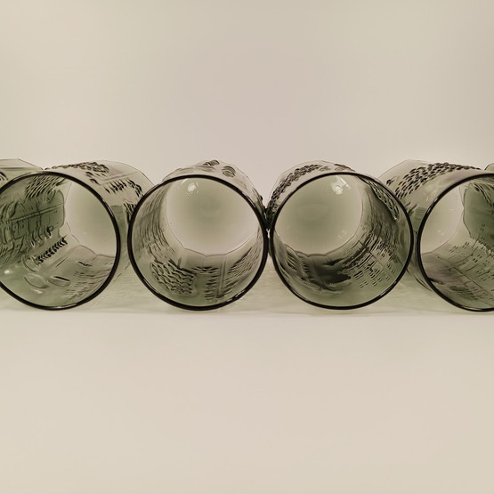 Juomalasi 6kpl, Flora, design Oiva Toikka