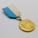 Muistomitali, Suomen Sotaväki 1881-1902