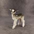 Figuuri, Karitsa, Lomonosov