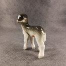 Figuuri, Karitsa, Lomonosov