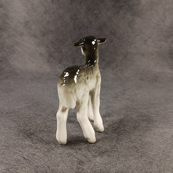 Figuuri, Karitsa, Lomonosov