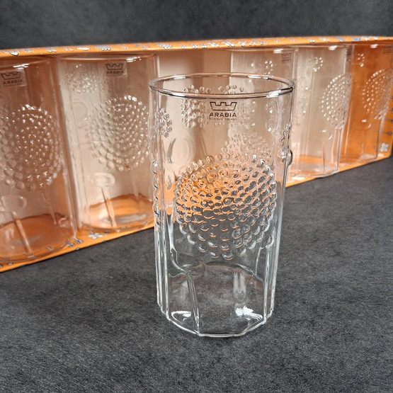 Juomalasi 6kpl, Flora, Arabia, design Oiva Toikka