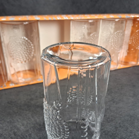 Juomalasi 6kpl, Flora, Arabia, design Oiva Toikka