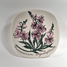 Seinälautanen, Maitohorsma, Arabia, design Esteri Tomula