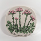 Seinälautanen, Kissankäpälä, Arabia, design Esteri Tomula