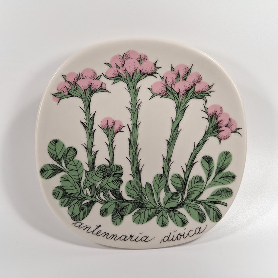 Seinälautanen, Kissankäpälä, Arabia, design Esteri Tomula