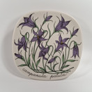 Seinälautanen, Harakankello, Arabia, design Esteri Tomula