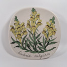 Seinälautanen, Kannusruoho, Arabia, design Esteri Tomula