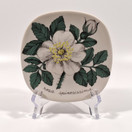 Seinälautanen, Juhannusruusu, Arabia, design Esteri Tomula