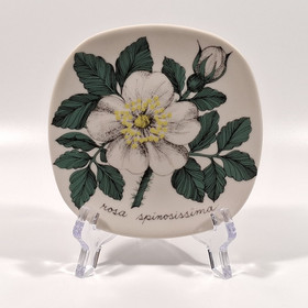 Seinälautanen, Juhannusruusu, Arabia, design Esteri Tomula