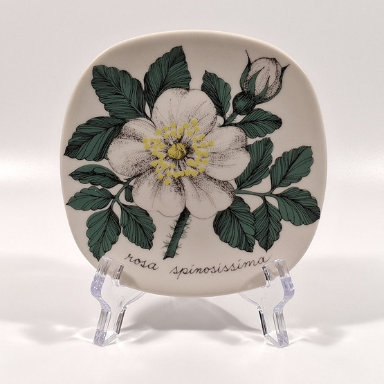 Seinälautanen, Juhannusruusu, Arabia, design Esteri Tomula