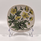 Seinälautanen, Niittyleinikki, Arabia, design Esteri Tomula