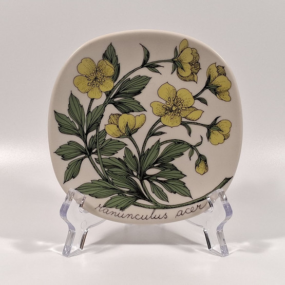 Seinälautanen, Niittyleinikki, Arabia, design Esteri Tomula