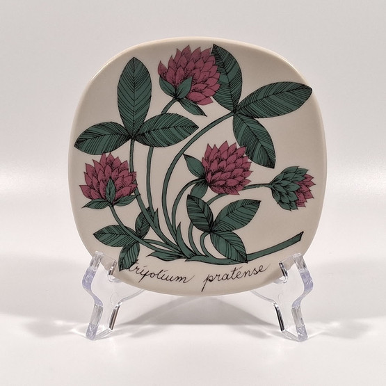 Seinälautanen, Puna-apila, Arabia, design Esteri Tomula